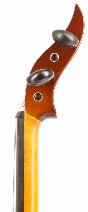 Strunal Schönbach Freedom Vln 4/4 - Elektrické housle