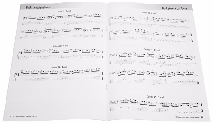 Baskytarová posilovna 101 pentatonik pro vražedné vyhrávky (použité) - Škola hry na baskytaru