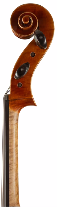 Martin W. Placht Violoncello model K (rozbalené) - Violoncello