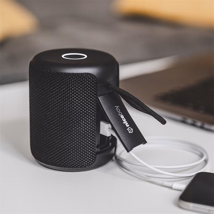 Niceboy RAZE 3 Guru - Bezdrátový přenosný reproduktor