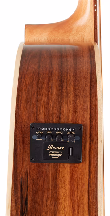 Ibanez AVD15PFRCEOPS - Elektroakustická kytara