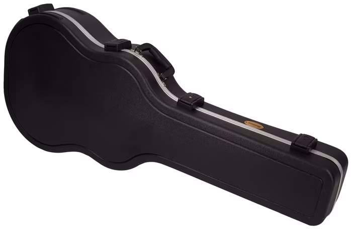 Ibanez PM 2 AA - Semiakustická kytara