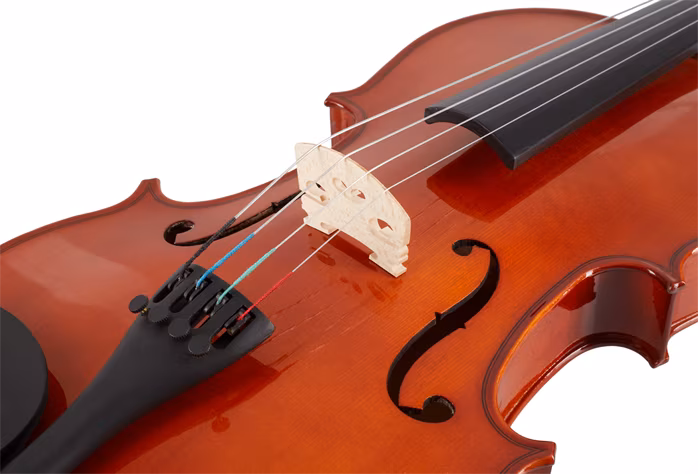 Soundsation Viola VS - 15,5 (poškozené) - Viola