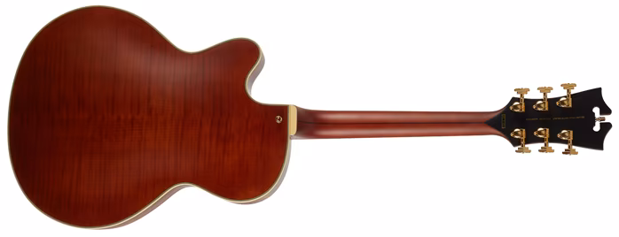 D'Angelico Deluxe 175 LE WL - Semiakustická kytara
