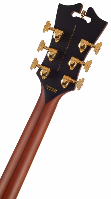 D'Angelico Deluxe 175 LE WL - Semiakustická kytara