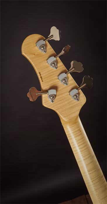 AV Basses 2019 AVBP 5 - Elektrická baskytara