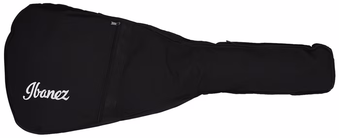 Ibanez AW5412JR-OPN - Dvanáctistrunná akustická kytara