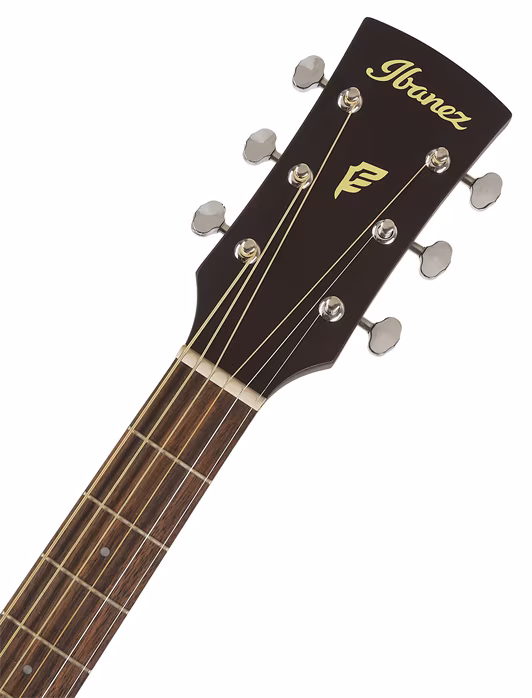 Ibanez PN19-ONB - Akustická kytara