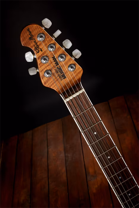 Music Man 2018 BFR Steve Morse HH - Elektrická kytara