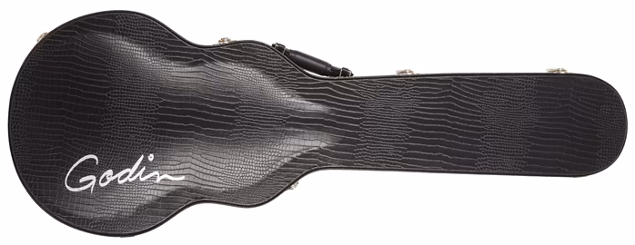Godin Case Summit/Core - Kufr pro elektrickou kytaru