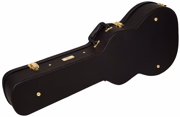 Fender PM-2 Parlor OV MAH - Akustická kytara