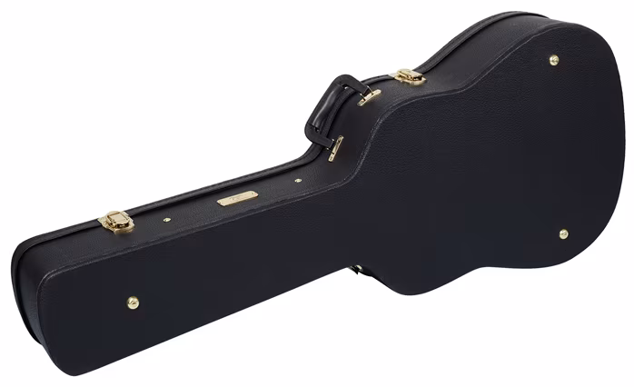 Fender PM-1E Standard Dreadnought OV NAT - Elektroakustická kytara