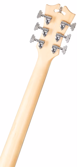 D'Angelico Single Cutaway Solid Body Black Flake - Elektrická kytara