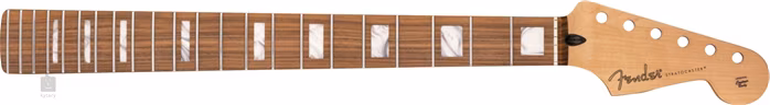 Fender Player Series Stratocaster Neck, Block Inlays, 22 Medium Jumbo Frets, Pau Ferro - Kytarový krk