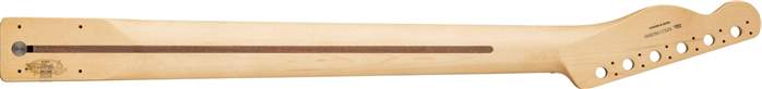 Fender Player Series Telecaster Neck, Block Inlays, 22 Medium Jumbo Frets, Pau Ferro - Kytarový krk