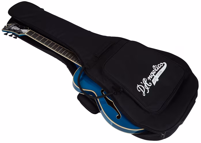 D'Angelico Premier SS Fabrizio Sotti Signature Fabrizio Blue - Semiakustická kytara