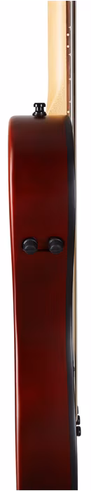 Godin A4 ULTRA Fretted RN SA - Hybridní baskytara