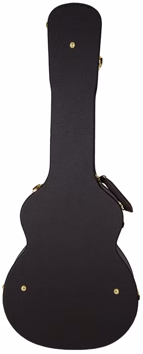 Taylor 224ce-K DLX - Elektroakustická kytara