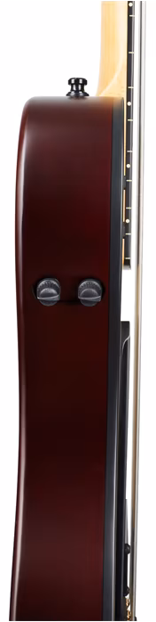 Godin A5 Ultra Natural Fretless A/E with Bag - Hybridní bezpražcová baskytara