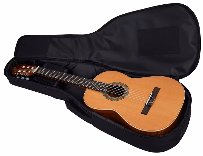 Ortega R220 - Klasická kytara