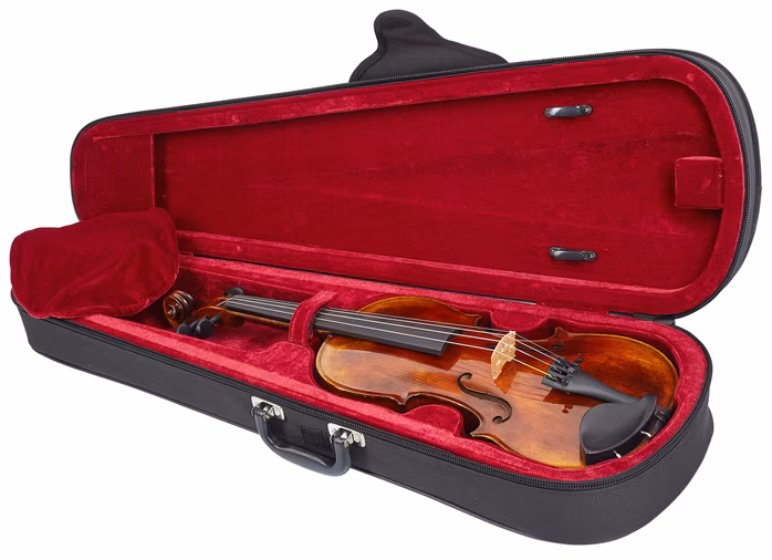 Violin Schönbach Inferno - Akustické housle