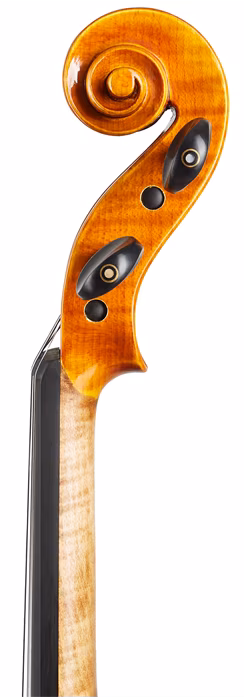 Violin Schönbach Golden - Akustické housle