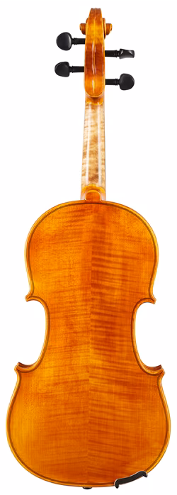 Violin Schönbach Golden - Akustické housle