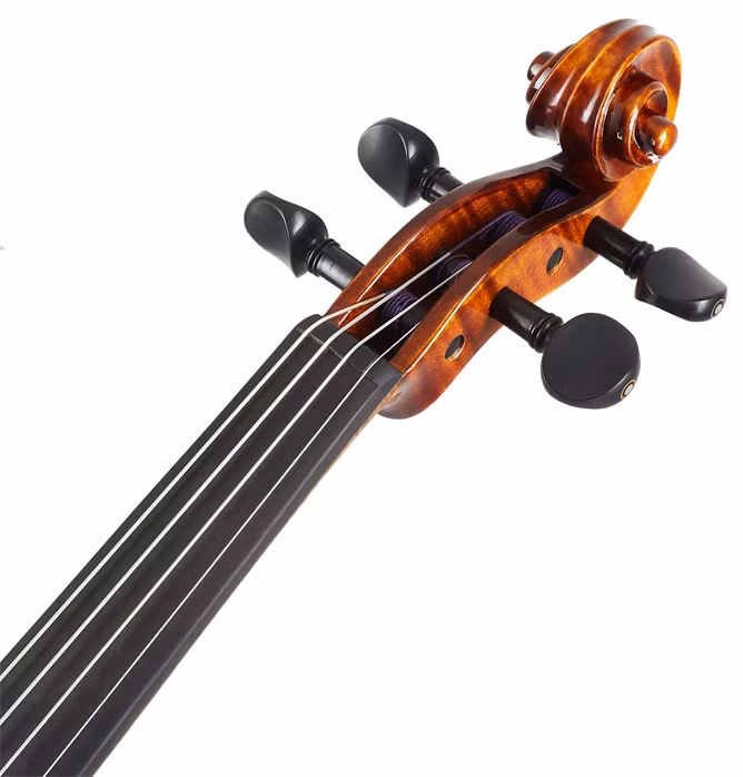 Violin Schönbach Golden/Brown - Akustické housle