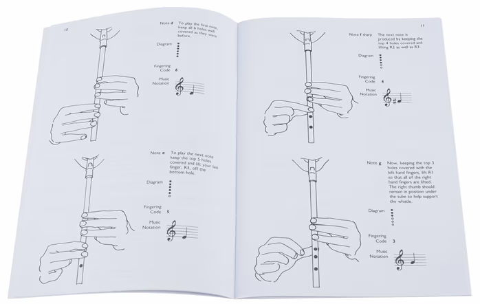 MS How To Play The Penny Whistle - Škola hry na irskou flétnu