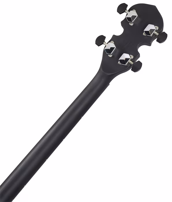 Gold Tone AC-4 - Tenorové banjo