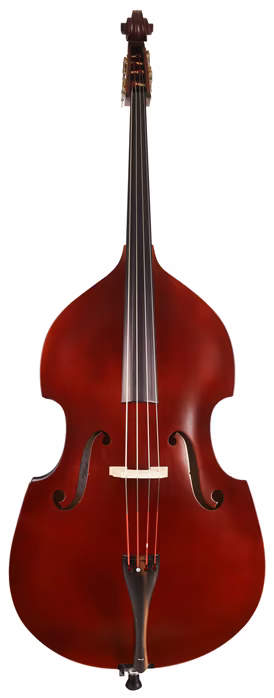 Strunal Schönbach Lucca 50/4 Bass 3/4 - Akustický kontrabas