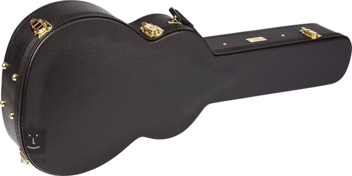 Fender PS-220E Parlor OV NA - Elektroakustická kytara