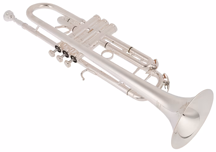 Bacio Instruments BTR-100S - Trubka