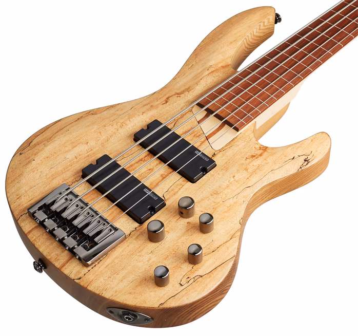 ESP LTD B-205SM FL NS - Elektrická bezpražcová baskytara