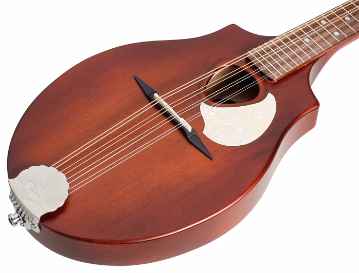 Seagull S8 Mandolin Burnt Umber - Akustická mandolína