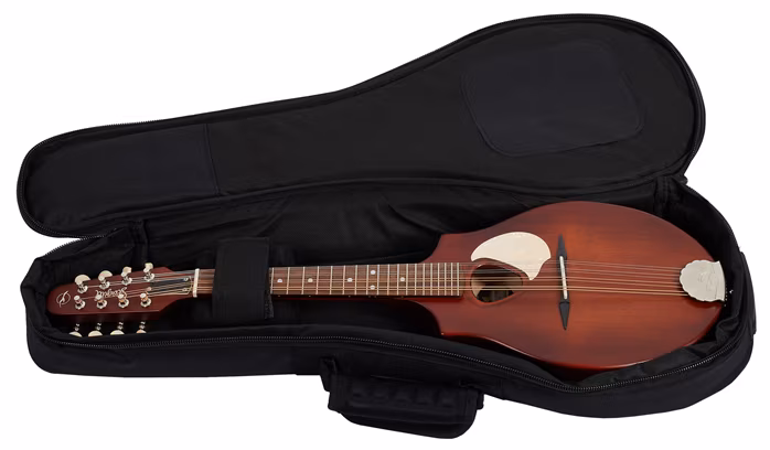 Seagull S8 Mandolin Burnt Umber - Akustická mandolína