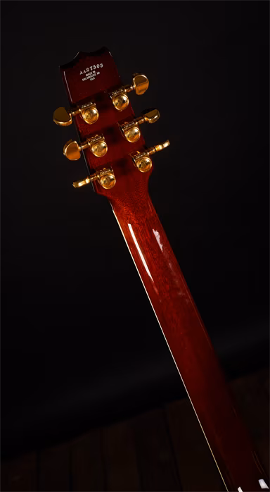 Heritage 2010 H-555 - Semiakustická kytara