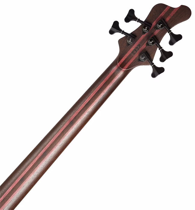 Mayones Caledonius 5 Raw Graphite Poplar Tom - Elektrická baskytara