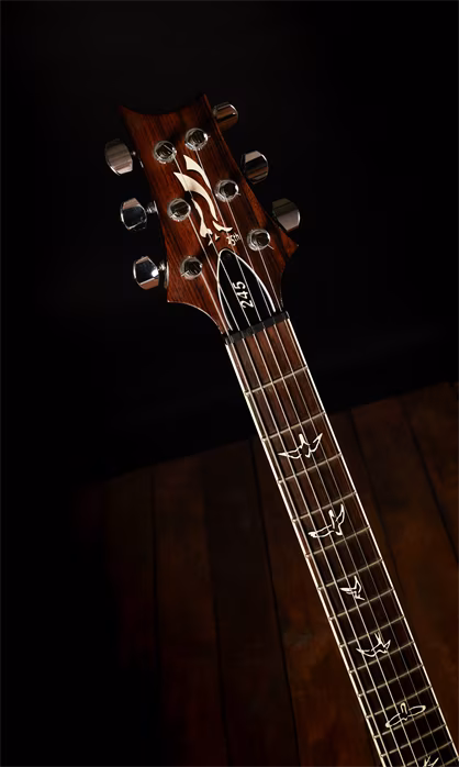 PRS 2010 SC245 25th Anniversary 1-Piece Maple Top - Elektrická kytara