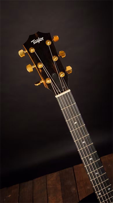 Taylor 224ce-K DLX Koa - Elektroakustická kytara