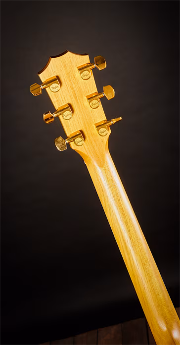 Taylor 224ce-K DLX Koa - Elektroakustická kytara