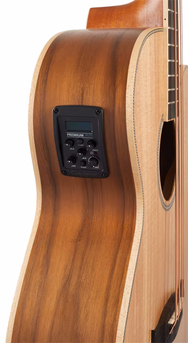 Tanglewood TRAB BW - Elektroakustická baskytara