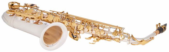 Bacio Instruments BAS-100SG (poškozené) - Saxofon