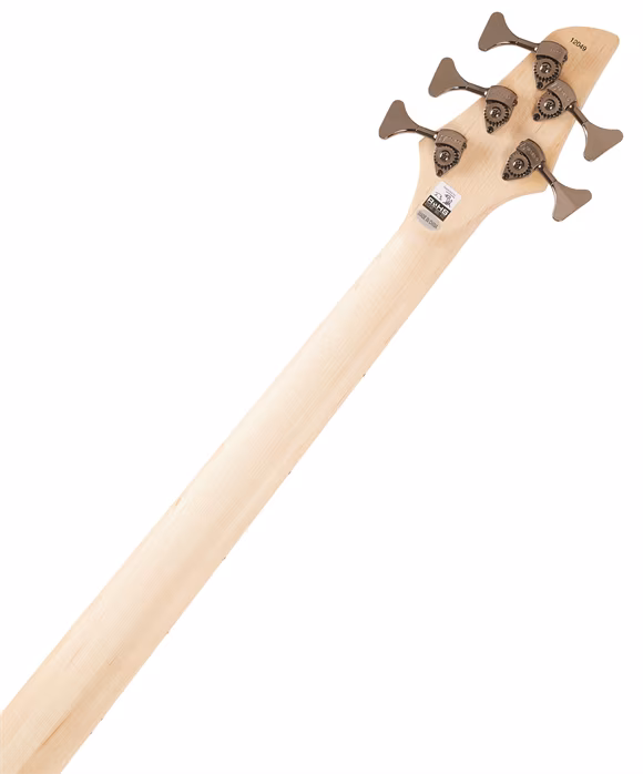 Dingwall NG2 “Nolly” Signature 5 Metallic Black - Elektrická baskytara