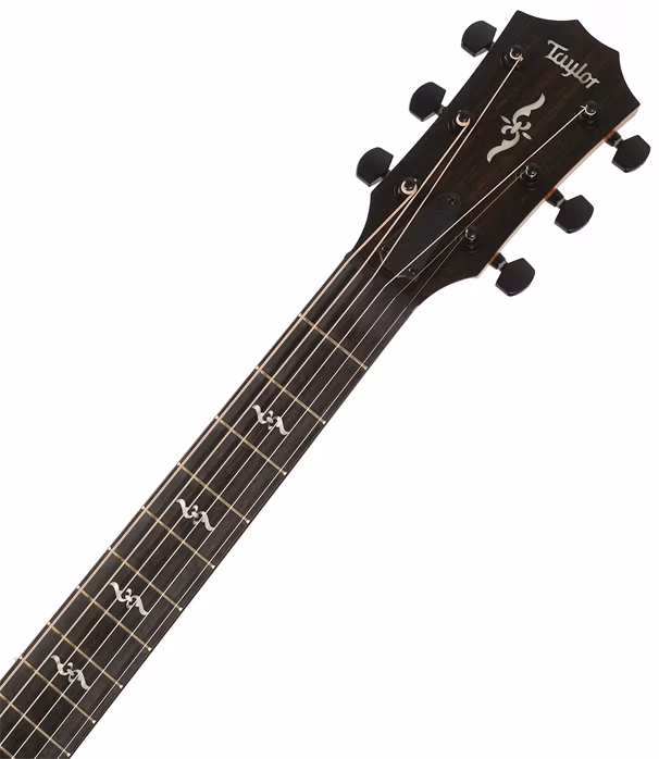 Taylor 414ce-R LTD Blacktop - Elektroakustická kytara