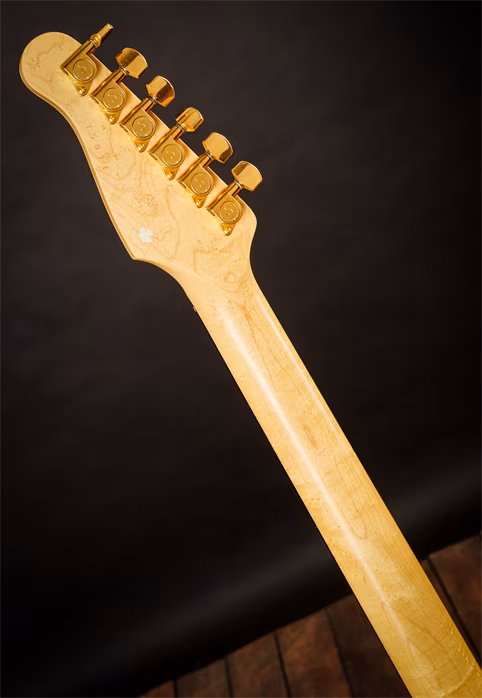 Godin 1993 Artisan Maple Top - Elektrická kytara