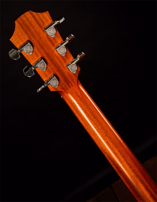 Furch 2002 D 20 CM - Elektroakustická kytara