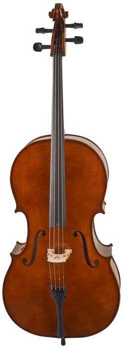 Strunal Schönbach Violoncello Bern 4/4weA 4/4 - Violoncello