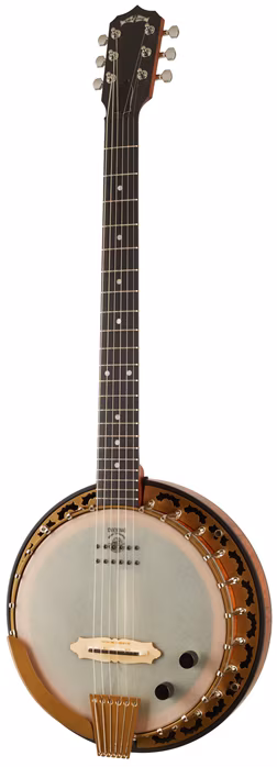 Deering Phoenix - Elektroakustické banjo