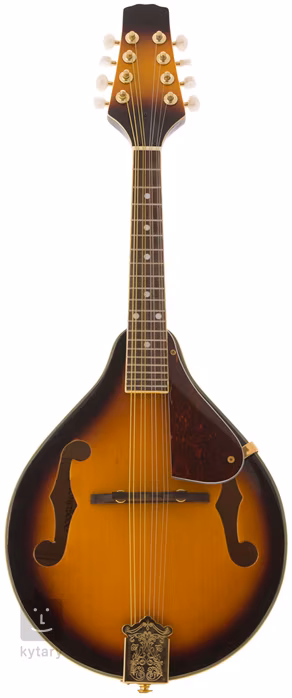 Andy Stonewood RMD25A - Akustická mandolína